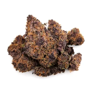 tropicana cookies strain