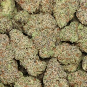 Grape Gasoline strain