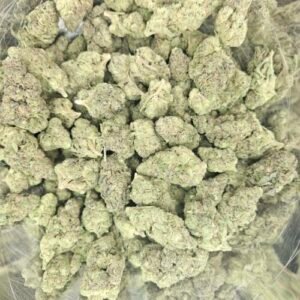 Gush Mintz Strain