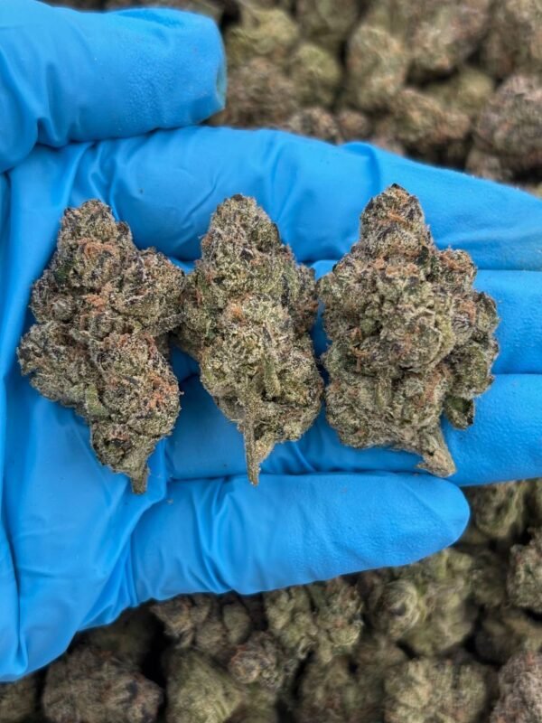 Jolly Rancher Strain