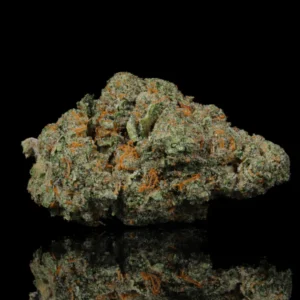 snowman strain