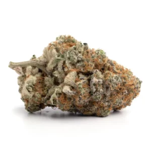 purple milk strain