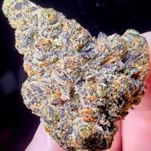 Grape Gas Strain