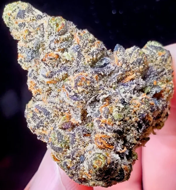 Grape Gas Strain