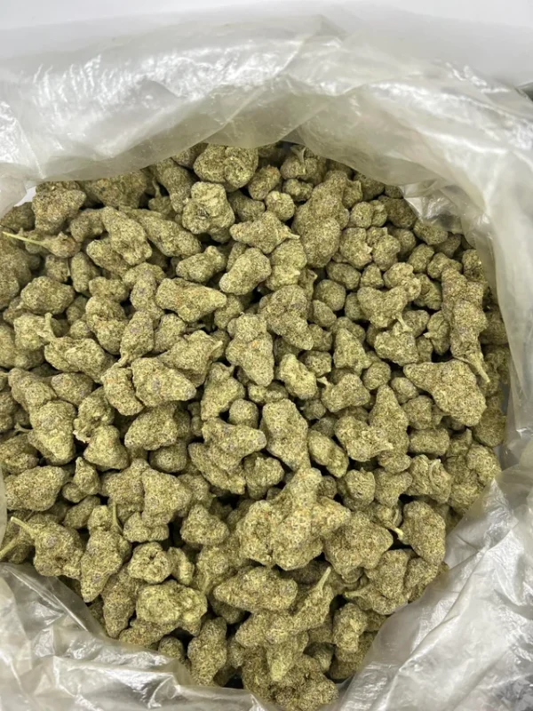papaya punch strain