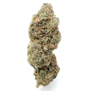 ayahuasca purple