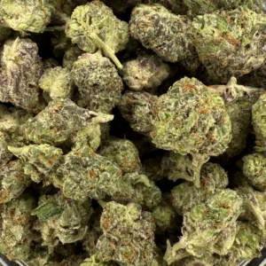 Blue Dream Barcelona