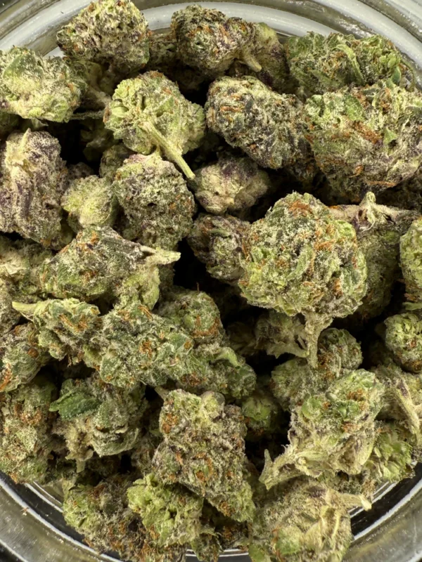 Blue Dream Barcelona