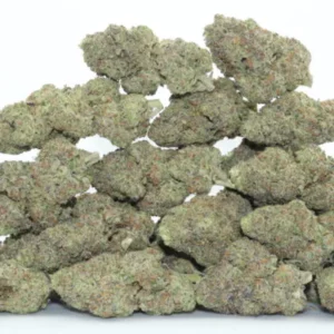 gelato 41 strain