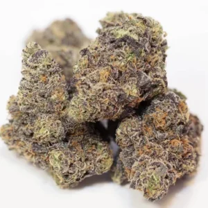 gush mints strain