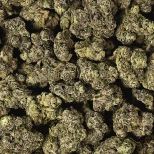 trop cherry strain