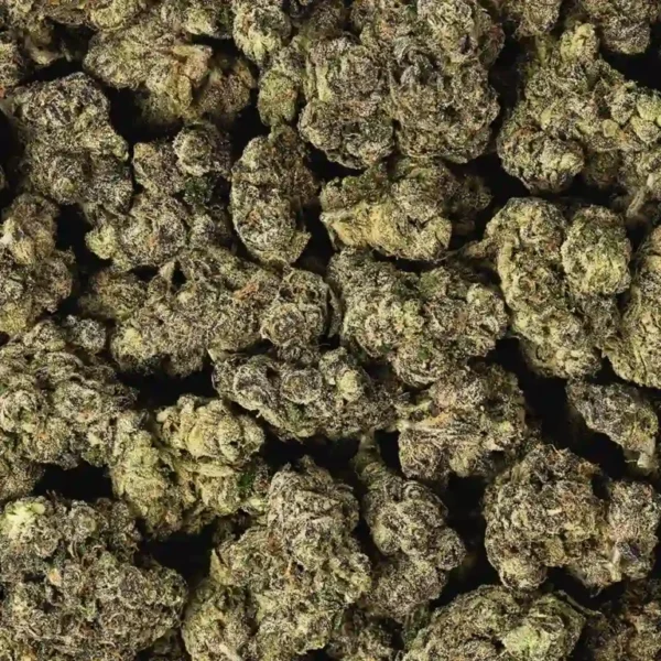 trop cherry strain