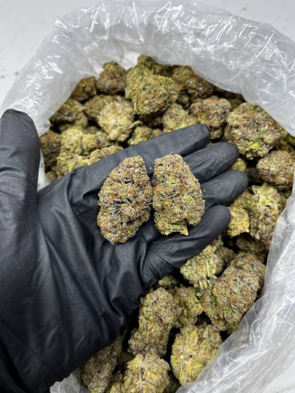 sherbanger strain