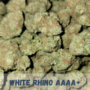 white rhino weed strains