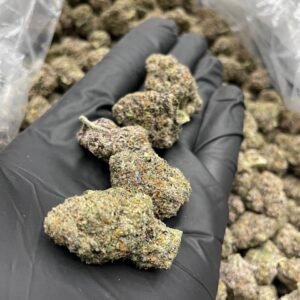 blue nerds strain