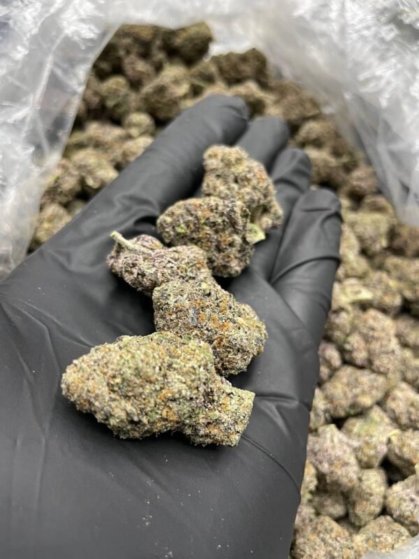blue nerds strain