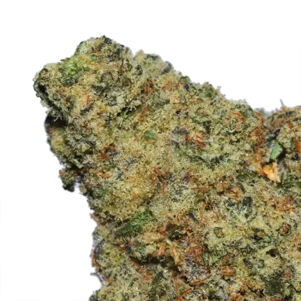 mule fuel strain