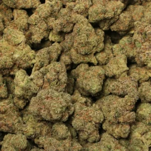 mule fuel strain