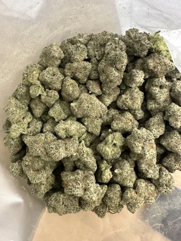 don mega strain